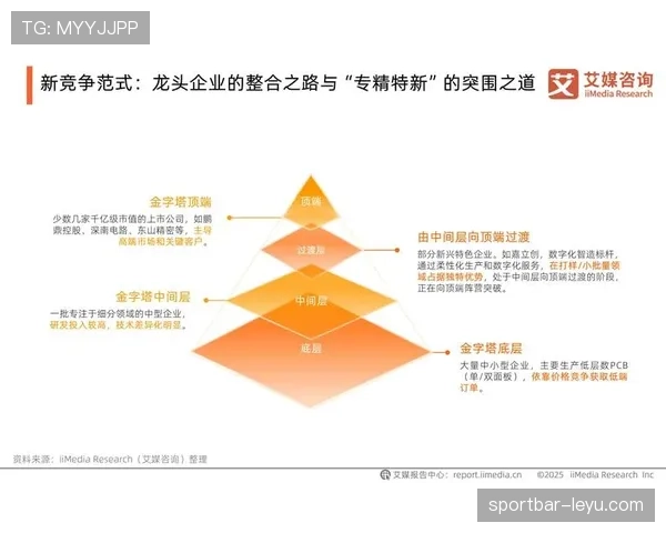 欧洲杯未来展望:赛事格局演变与竞争趋势分析 欧洲杯未来展望:赛事格局演变与竞争趋势分析