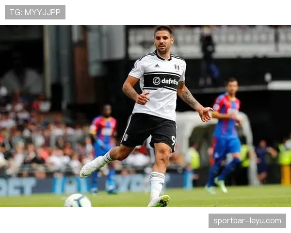 米特罗维奇职业轨迹