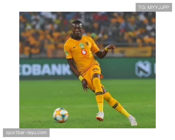 津巴布韦勇士队近期表现稳健,非洲杯预选赛竞争力增强 津巴布韦勇士队近期表现稳健,非洲杯预选赛竞争力增强